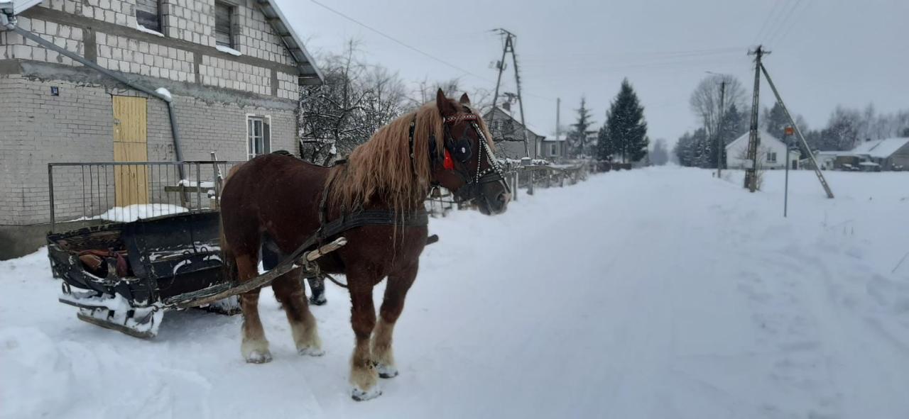 Dom Piotra Daire Goniadz Dış mekan fotoğraf